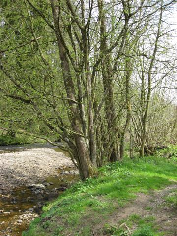 Fond de l'eau Pesche